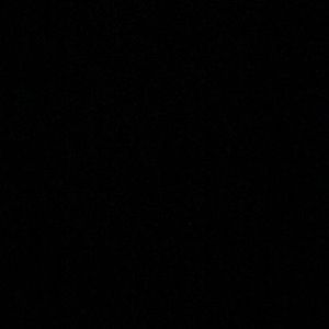 Meet your Posher, Cody